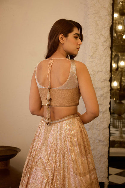 LEHENGA SET in vertical wave sheeted sequin embroidery
