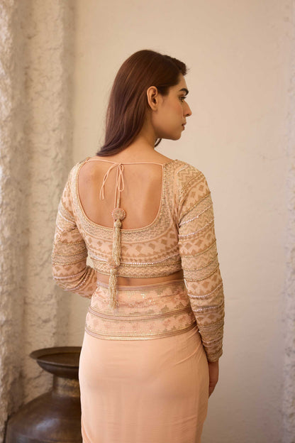 Sari Set In Egyptian Cutdana Pattern Embroidery