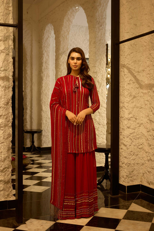 Sharara Set in Multi Sequin Lines Embroidery