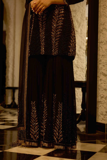 Gharara Set in Leaf Design in Sequins Embroidery