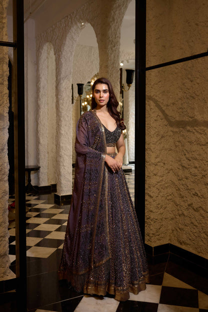 Lehenga Set in Tonal & Gold Sequin Embroidery