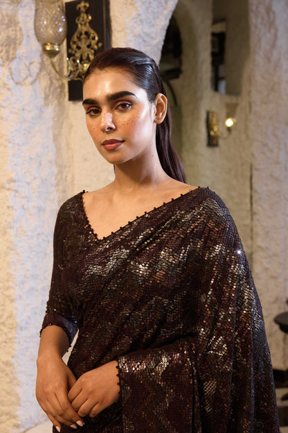 Sari Set in  Four Tone Sequin Sheeting Embroidery