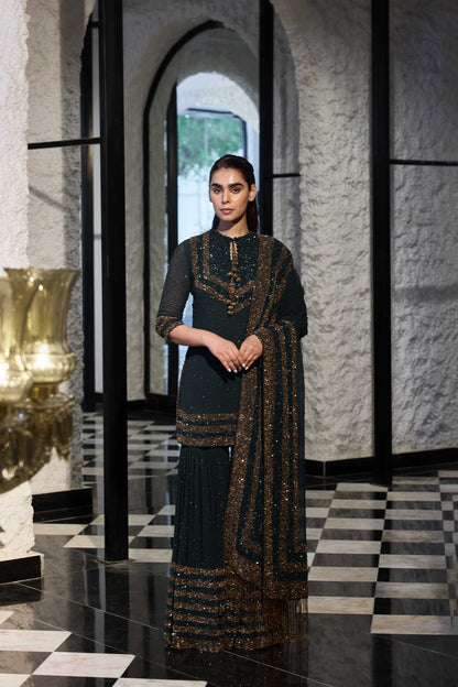 Gharara Set in Double Border Sequin Embroidery