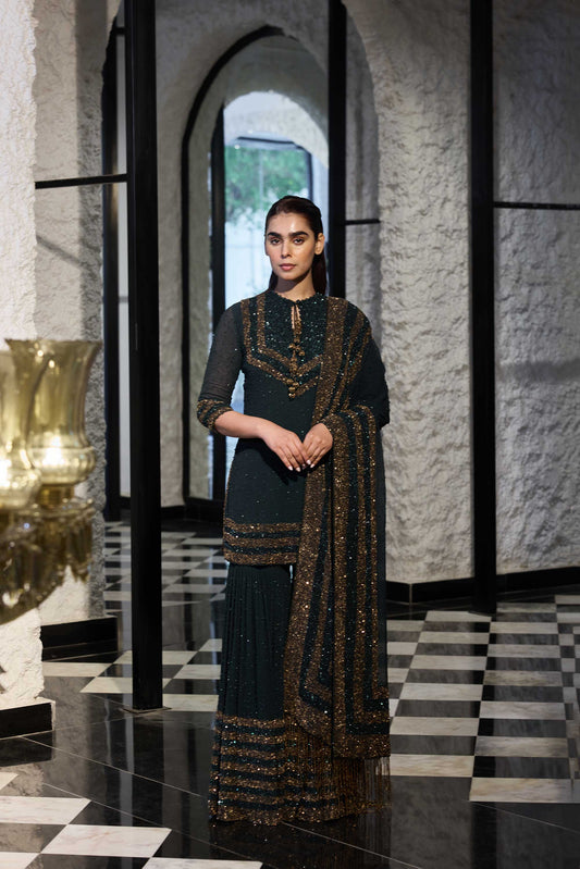 Gharara Set in Double Border Sequin Embroidery