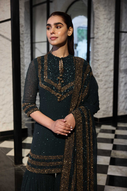 Gharara Set in Double Border Sequin Embroidery