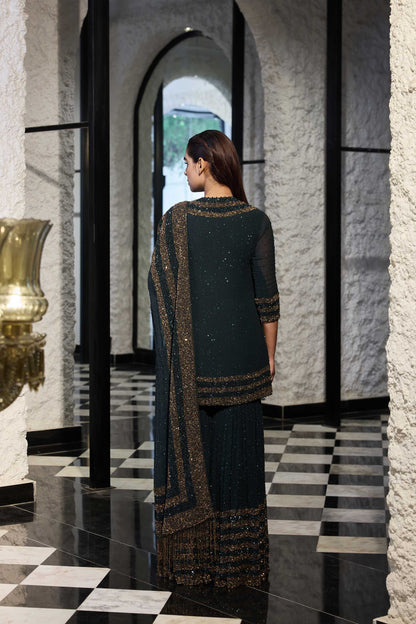 Gharara Set in Double Border Sequin Embroidery