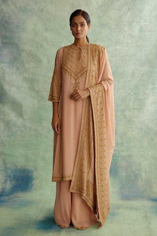 Kurta Set in Zari and Sequin Embroidery