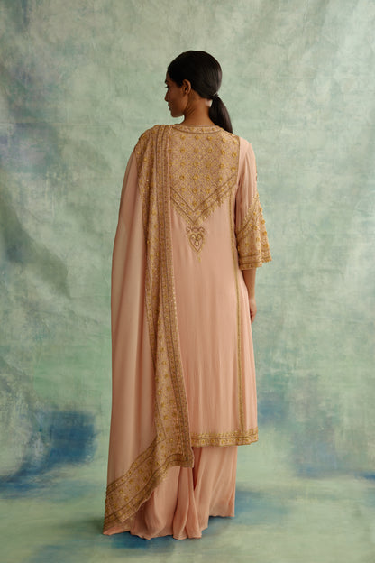Kurta Set in Zari and Sequin Embroidery