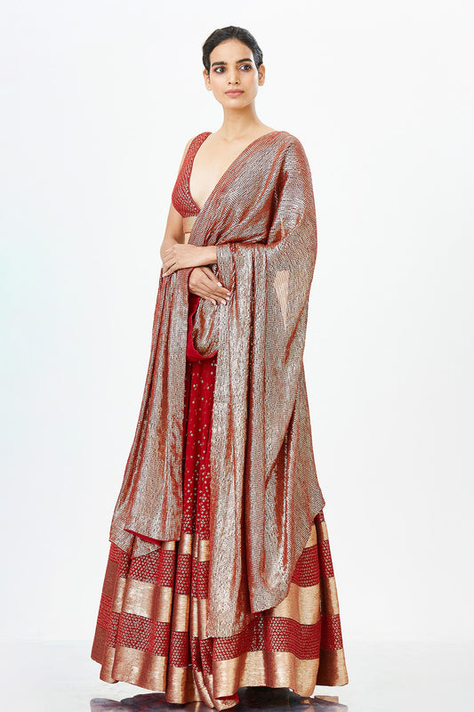 Lehenga Set in Bandini Inspired Sequin Embroidery