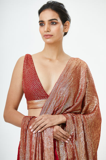 Lehenga Set in Bandini Inspired Sequin Embroidery