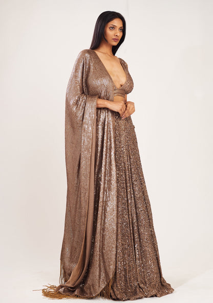 Lehenga Set in all over Line Sequin Embroidery
