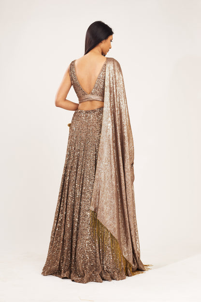 Lehenga Set in all over Line Sequin Embroidery