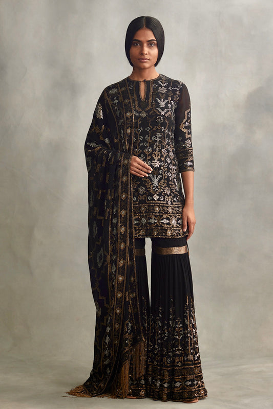 Gharara Set in Small Sequin Embroidery