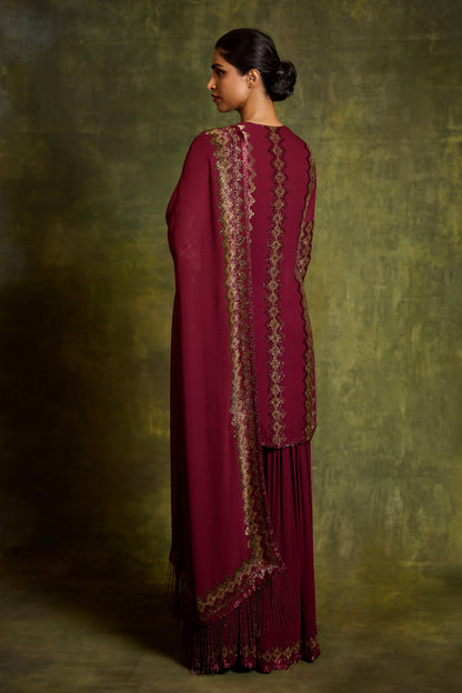 Gharara Set in Cutdana Embroidery