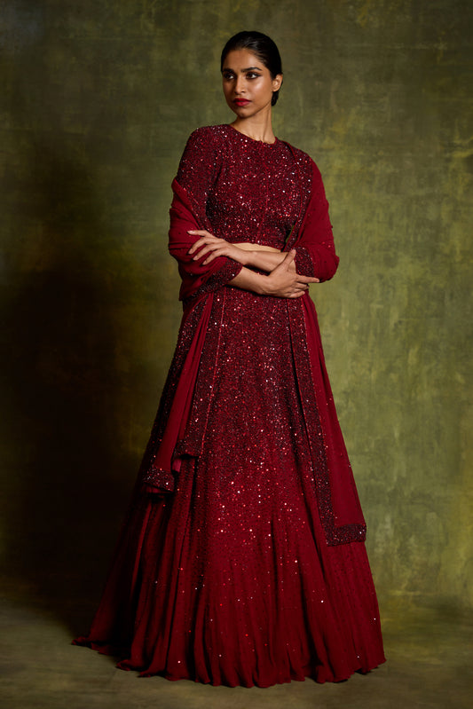 Lehenga Set in Tonal Sequin Sprinkle Embroidery
