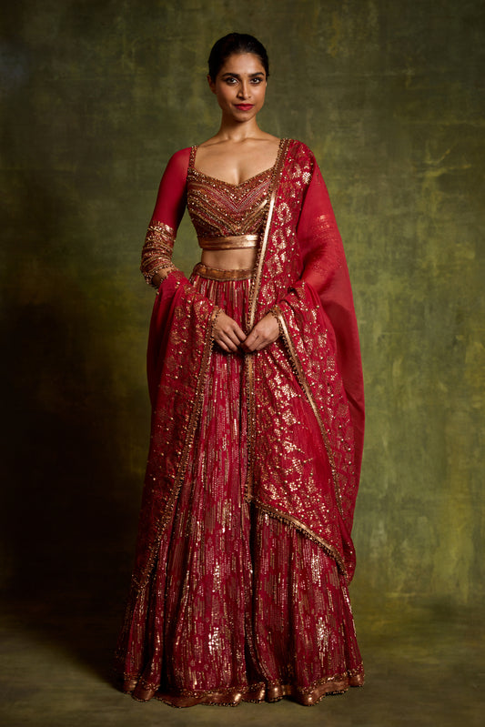Lehenga Set in Sequin Embroidery in an abstract Design