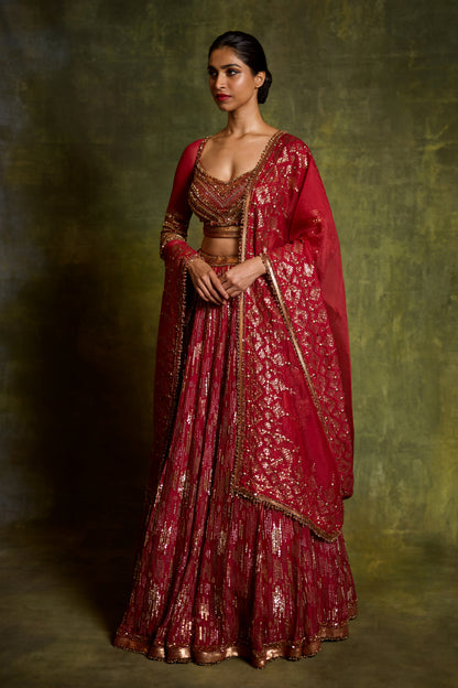 Lehenga Set in Sequin Embroidery in an abstract Design