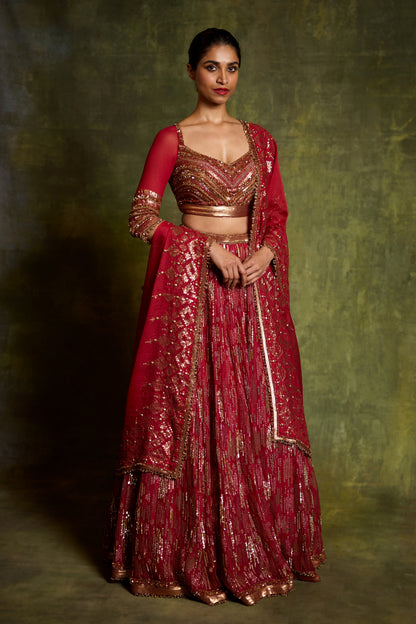 Lehenga Set in Sequin Embroidery in an abstract Design