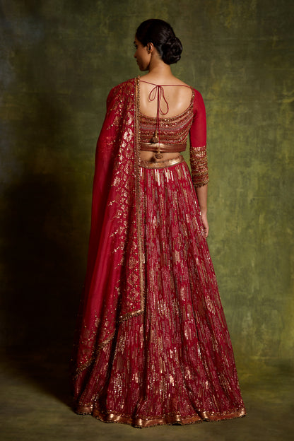 Lehenga Set in Sequin Embroidery in an abstract Design