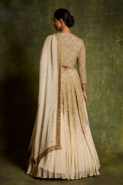 Lehenga Set in Sprinkle Sequin Embroidery