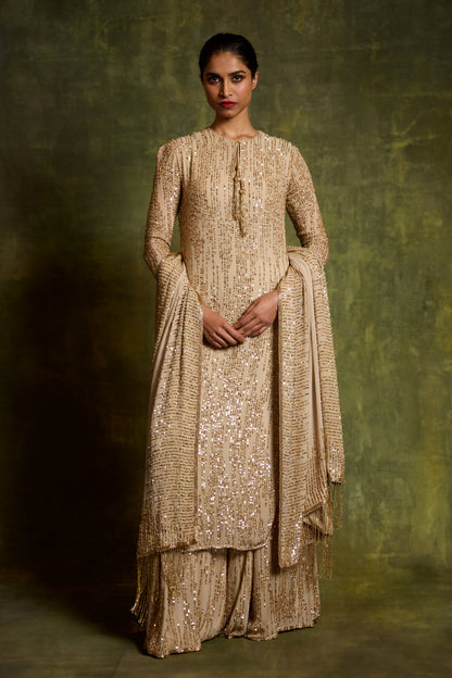 Kurta Set in Sequin Embroidery