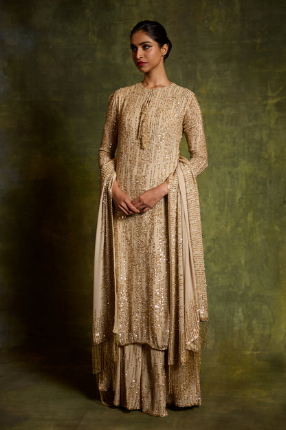 Kurta Set in Sequin Embroidery