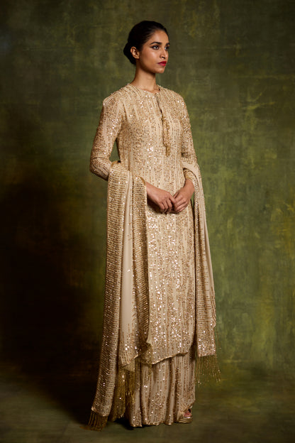 Kurta Set in Sequin Embroidery