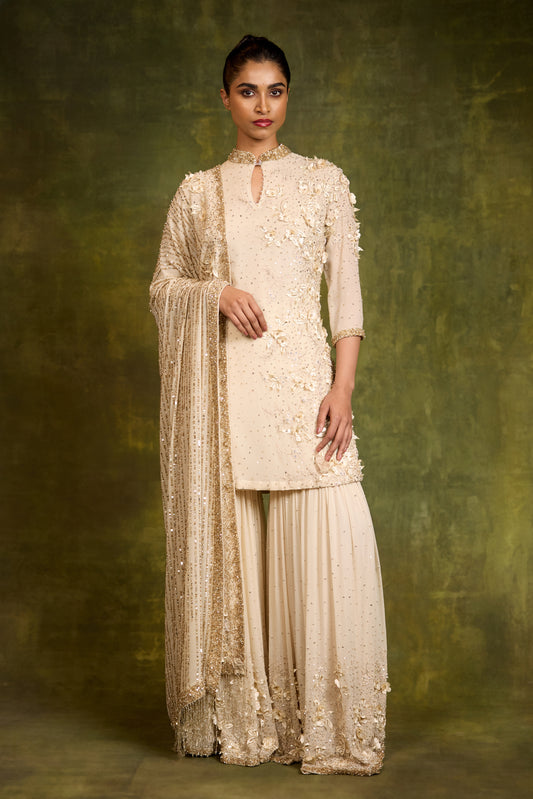 Gharara Set in 3D Floral Embroidery