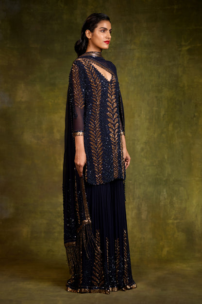 Gharara Set in Leaf Design in Sequins Embroidery