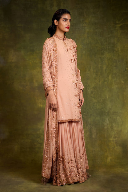 Gharara Set In 3D Floral Embroidery