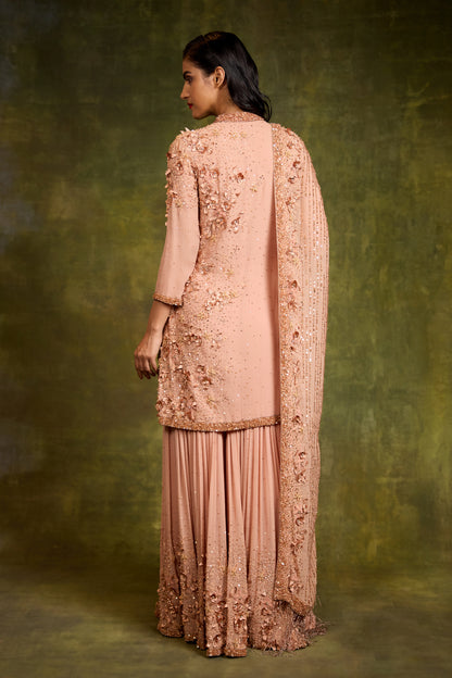 Gharara Set In 3D Floral Embroidery