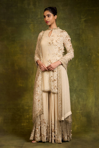 Gharara Set in 3D Floral Embroidery