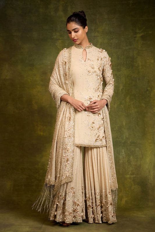 Gharara Set in 3D Floral Embroidery