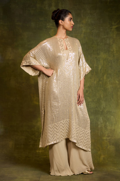 Kaftan Kurta in Small Sequin Embroidery