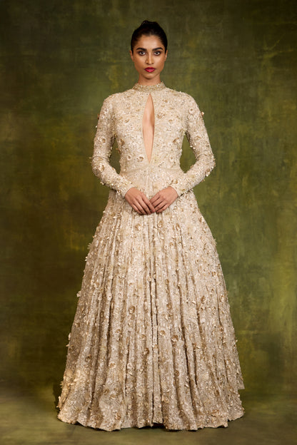 Gown in 3D Floral Embroidery