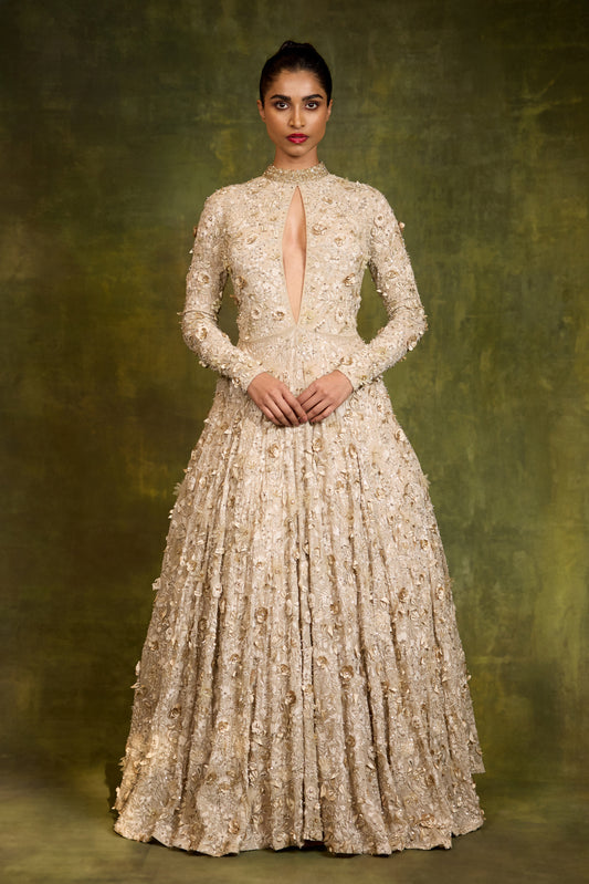 Gown in 3D Floral Embroidery