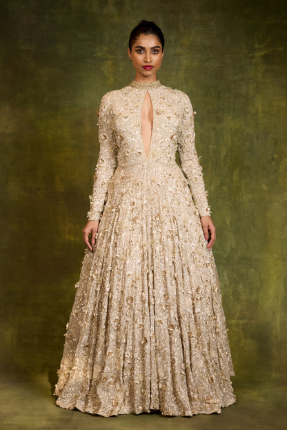 Gown in 3D Floral Embroidery