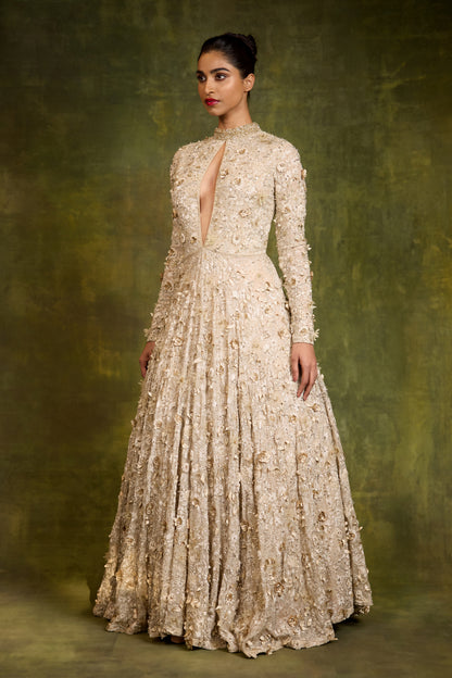 Gown in 3D Floral Embroidery