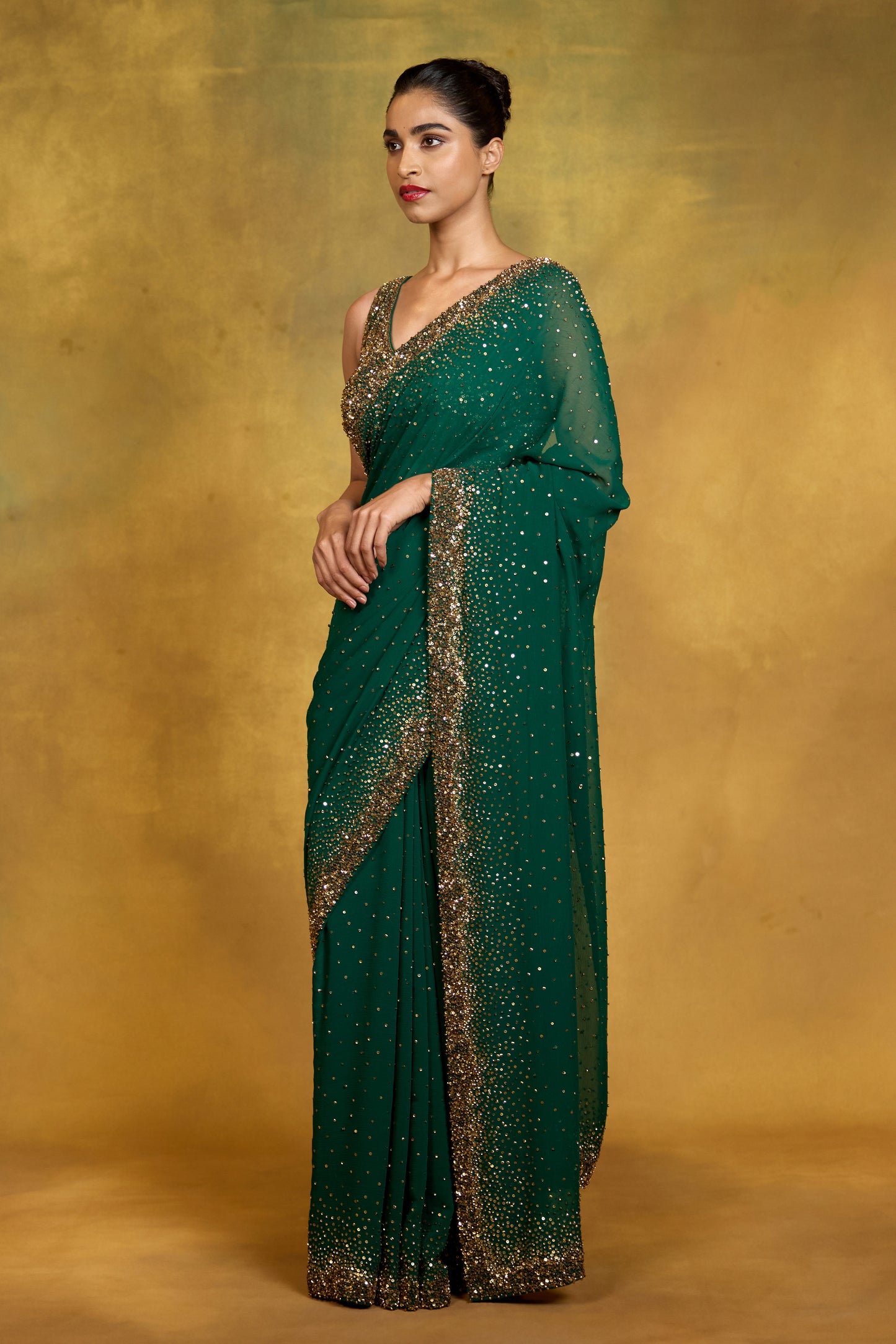 Sari Set in Gold Sprinkle Sequin Embroidery