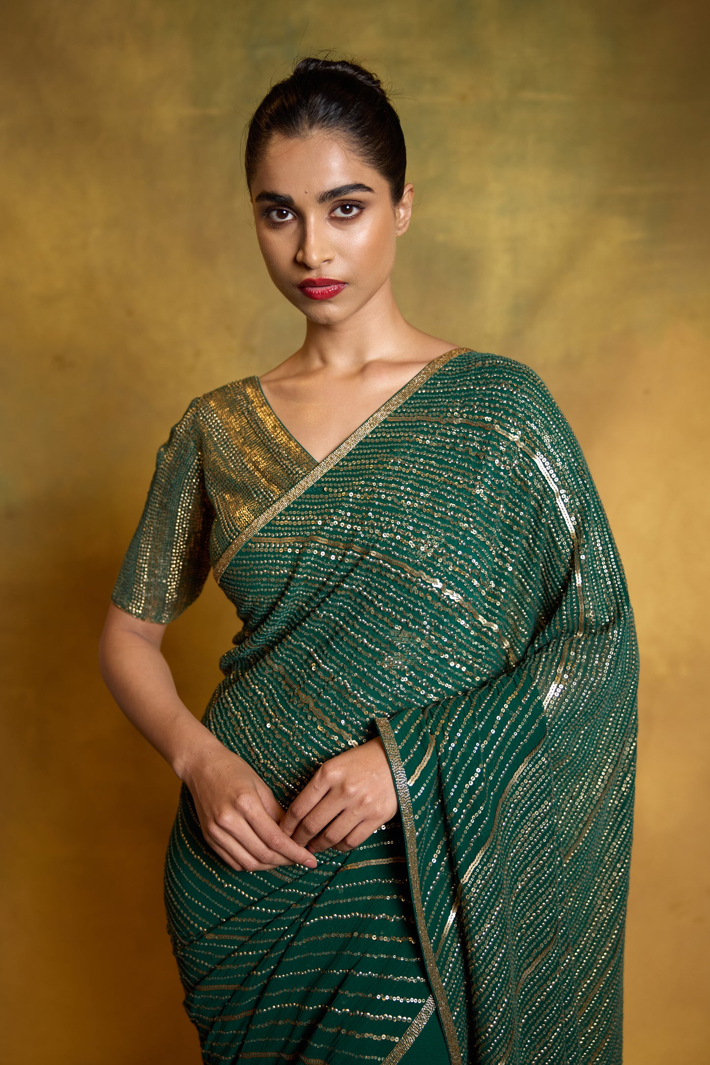 Sari Set in Diagonal Dots in Sequin Embroidery