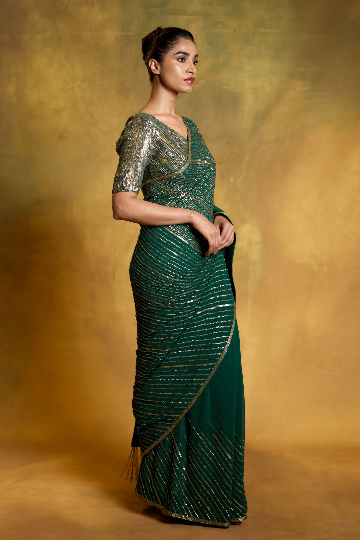 Sari Set in Diagonal Dots in Sequin Embroidery