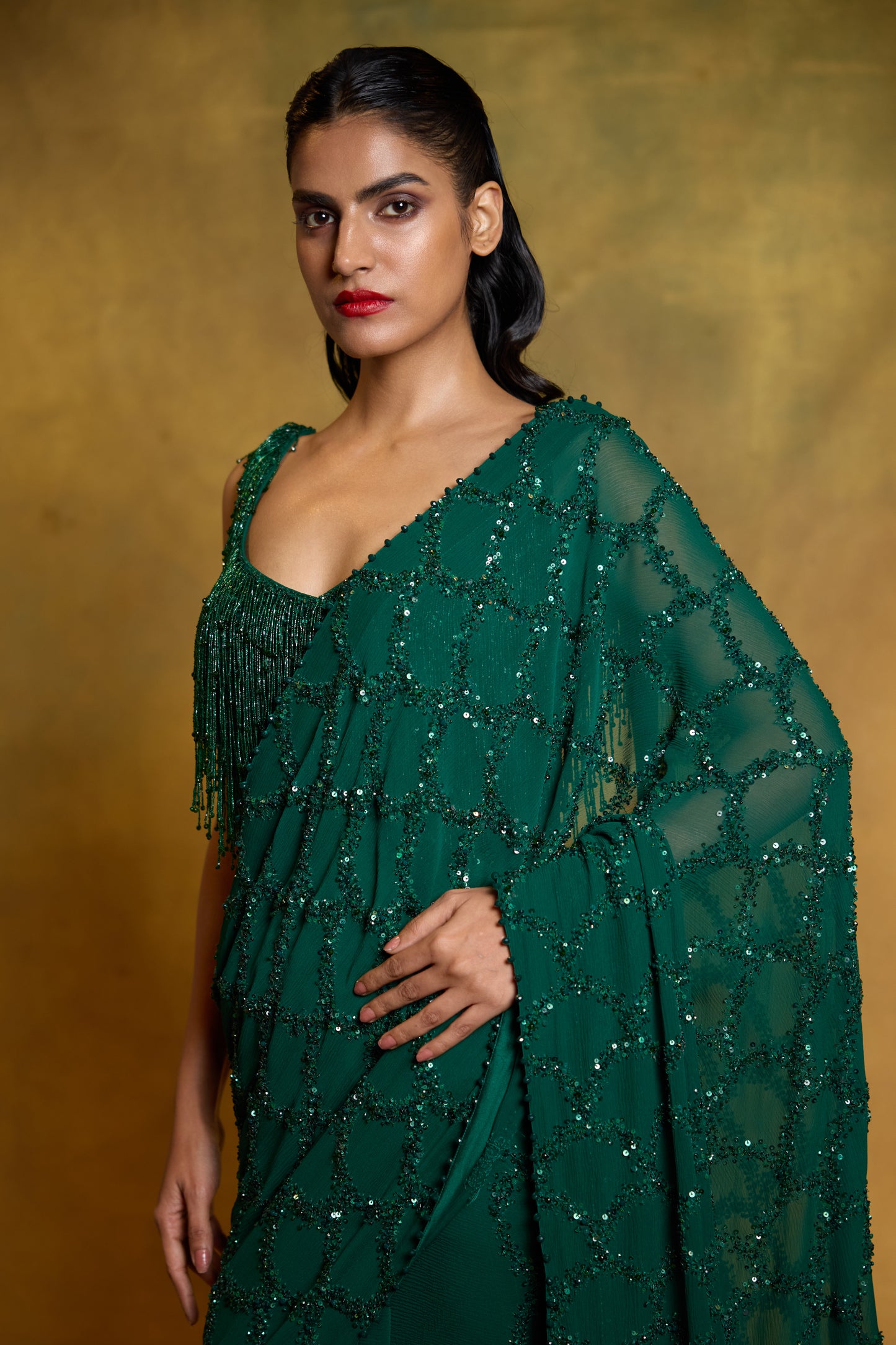 Sari Set in Fish Scale Design in Tonal Sequin Embroidery