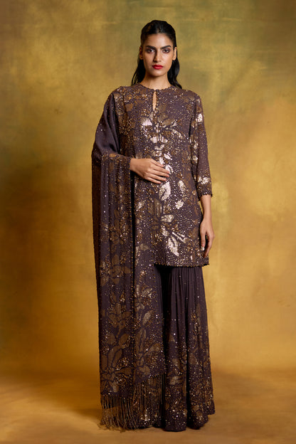Gharara Set in Floral Sprinkle Sequin Embroidery