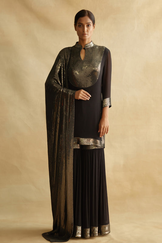 Gharara Set in Sequin Embroidery