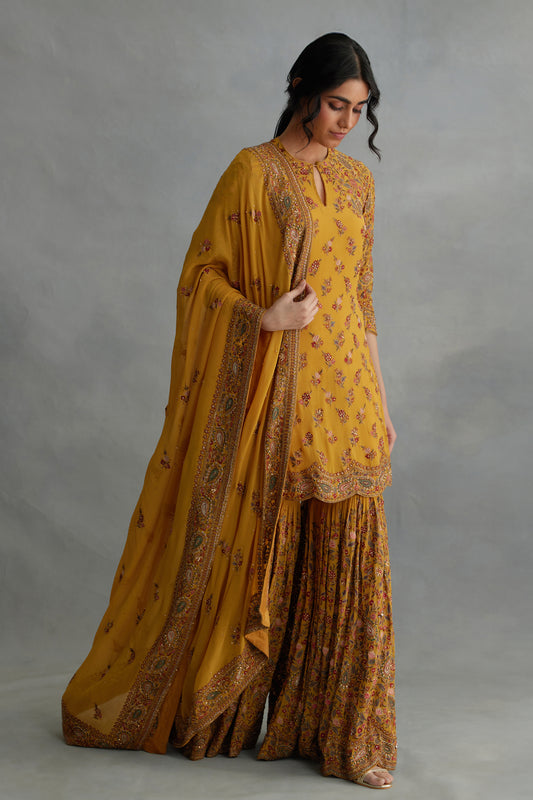 Gharara Set in Paisley Floral Thread embroidery