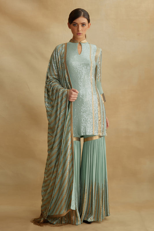 Gharara Set with Sequin Embroidery