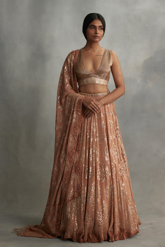 Lehenga Set in small sequin embroidery