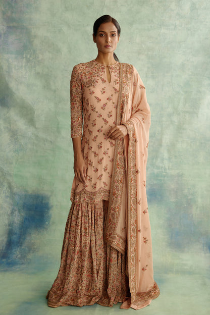Gharara Set in Paisley Floral Thread embroidery