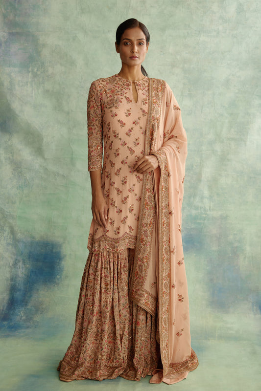 Gharara Set in Paisley floral thread embroidery