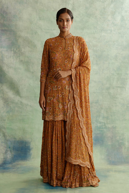 Gharara Set with Floral Thread Embroidery